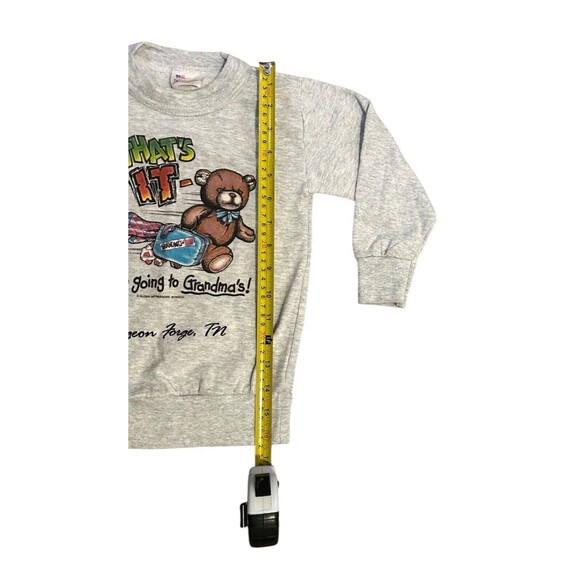 VTG American Sportswear Toddler Sweatshirt Kids Size 5/6 Pigeon Forge Tennessee - Picture 4 of 6